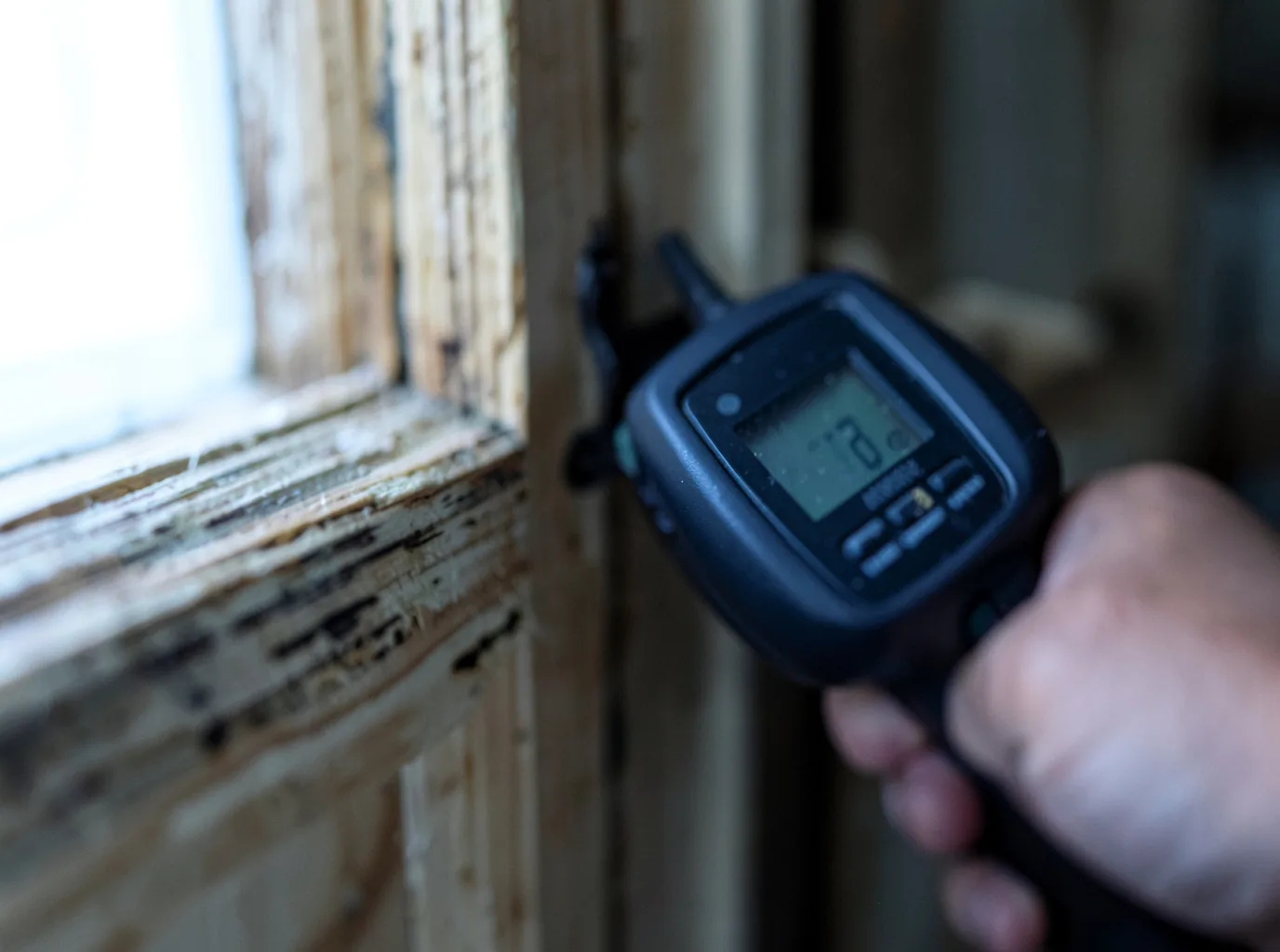 Moisture Inspection And Documentation in Terrell, TX